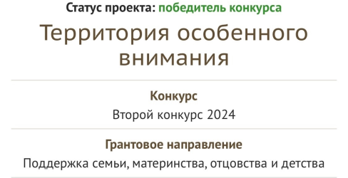 Красноярск посетили представители Фонда президентских грантов